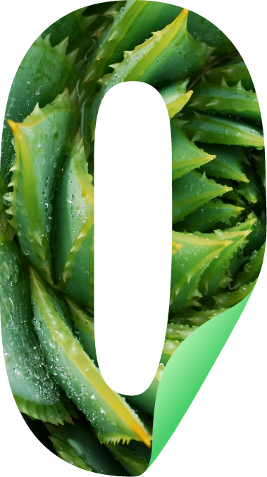O Icon